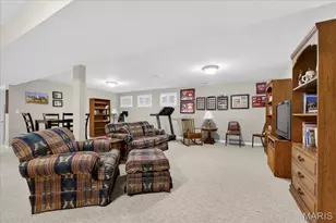 4509 Von Talge Meadows Ct, Unincorporated, MO 63128 - Photo 25