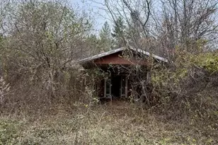 5387 Hurryville Rd, Farmington, MO 63640 - Photo 9