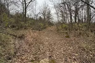 5387 Hurryville Rd, Farmington, MO 63640 - Photo 5