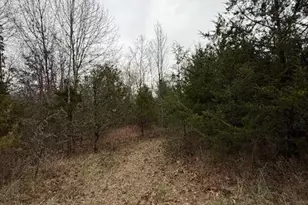 5387 Hurryville Rd, Farmington, MO 63640 - Photo 3