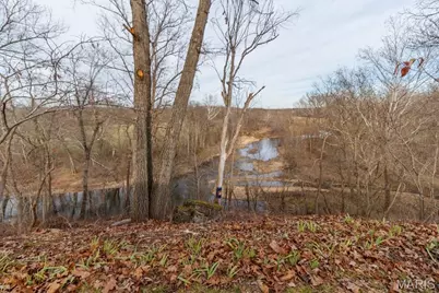 45 Blue Springs Circle, Oakland, MO 65644 - Photo 9