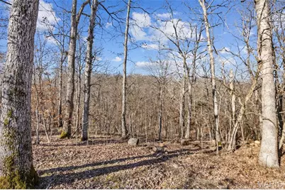 13467 Cedar Hollow Road, Fletcher, MO 63030 - Photo 41