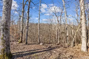 13467 Cedar Hollow Rd, Fletcher, MO 63030 - Photo 41