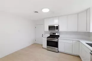 4117 Oleatha Ave, Saint Louis, MO 63116 - Photo 11