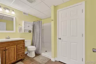 1002 Winter Lake Dr, Fenton, MO 63026 - Photo 49