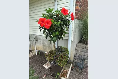 1308 Apple Blossom Lane, Washington, MO 63090 - Photo 45