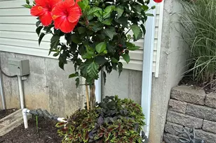 1308 Apple Blossom Ln, Washington, MO 63090 - Photo 45