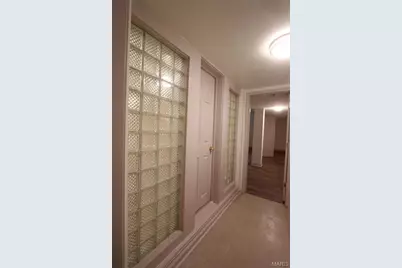 3809 Shenandoah Avenue #Basement, Saint Louis, MO 63110 - Photo 9