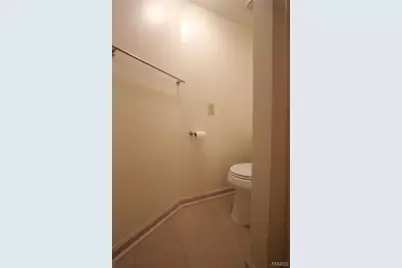 3809 Shenandoah Avenue #Basement, Saint Louis, MO 63110 - Photo 13