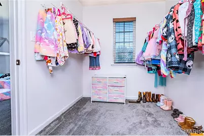 2420 Silver Lake Estates Drive, Pacific, MO 63069 - Photo 27