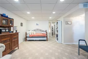 10184 Carlton Pl Ct, Saint Louis, MO 63123 - Photo 21