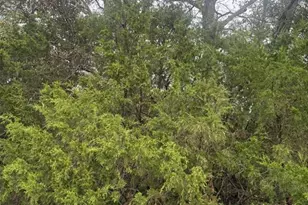 Lot 2 Hilltop Acres Dr, Washington, MO 63090 - Photo 1