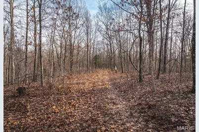 0 Pipeline Road, Sullivan, MO 63080 - Photo 9