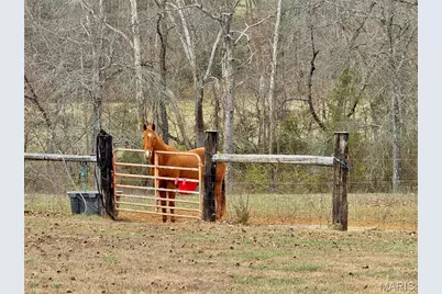 21924 Trogden Rd, Farmington, MO 63640 - Photo 51
