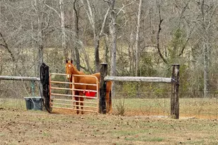 21924 Trogden Rd, Farmington, MO 63640 - Photo 51