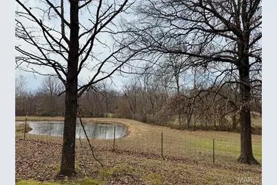 21924 Trogden Rd, Farmington, MO 63640 - Photo 49