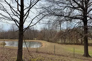 21924 Trogden Rd, Farmington, MO 63640 - Photo 49