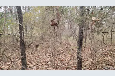 339 Oak Road, Cuba, MO 65453 - Photo 3