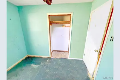 3110 Carron Road, Festus, MO 63028 - Photo 11