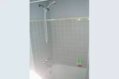 1116 S Elm Avenue, Webster Groves, MO 63119 - Photo 13