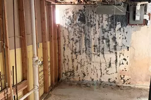 9422 Westchester Dr, Saint Louis, MO 63136 - Photo 57