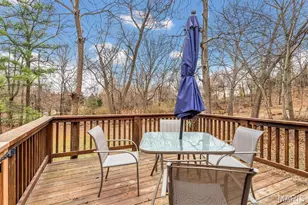 1304 Bridge Creek Trail, Ellisville, MO 63021 - Photo 45