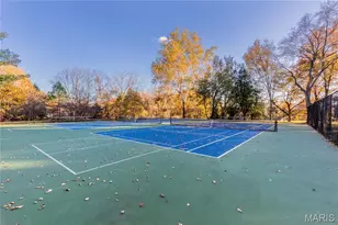 439 Landscape Ct, Webster Groves, MO 63119 - Photo 61