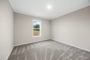 30 Jenna Lee Ct, Foley, MO 63347 - Photo 29