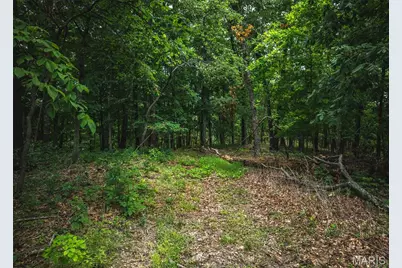 3 Trails Ends Trail, House Springs, MO 63051 - Photo 9