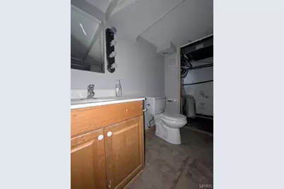 2366 Addie Avenue, Saint Louis, MO 63114 - Photo 29