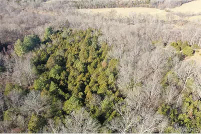 0 Cedar Creek Road, Irondale, MO 63664 - Photo 15