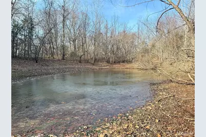 0 Cedar Creek Road, Irondale, MO 63664 - Photo 5