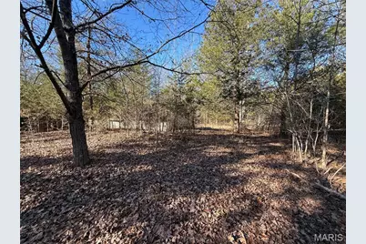 0 Cedar Creek Road, Irondale, MO 63664 - Photo 43