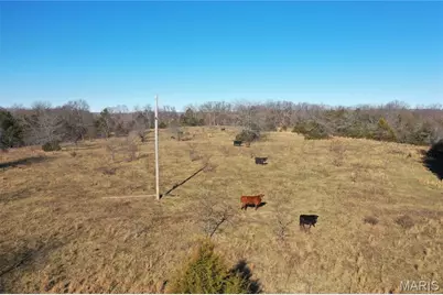 0 Cedar Creek Road, Irondale, MO 63664 - Photo 11