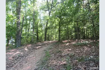 0 Flaming Leaf Dr, Sullivan, MO 63080 - Photo 5