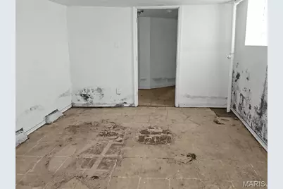 6219 Julian Avenue, Wellston, MO 63133 - Photo 13