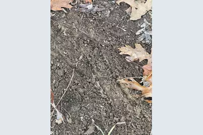 0 Diamond School Road, Grubville, MO 63041 - Photo 21