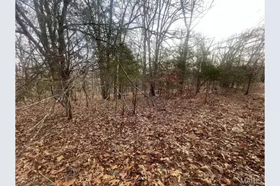 0 Diamond School Road, Grubville, MO 63041 - Photo 19