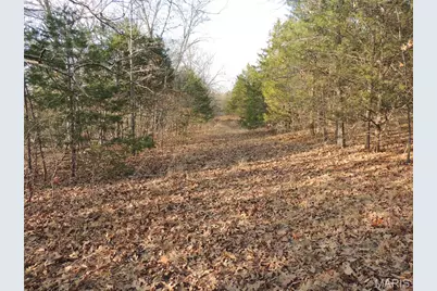 0 Diamond School Road, Grubville, MO 63041 - Photo 9
