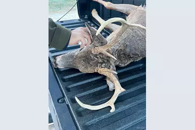 0 Diamond School Road, Grubville, MO 63041 - Photo 15