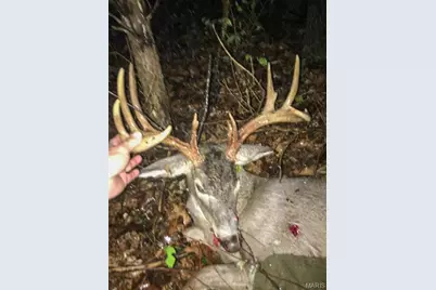 0 Diamond School Road, Grubville, MO 63041 - Photo 1