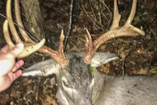 0 Diamond School Rd, Grubville, MO 63041 - Photo 1