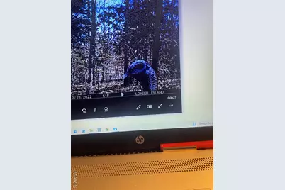 0 Diamond School Road, Grubville, MO 63041 - Photo 39