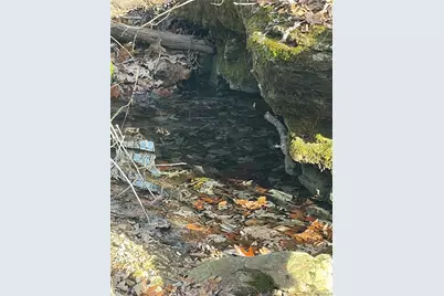 0 Diamond School Road, Grubville, MO 63041 - Photo 29