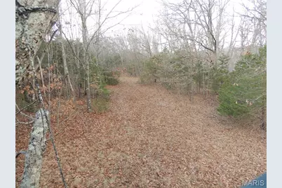 0 Diamond School Road, Grubville, MO 63041 - Photo 7