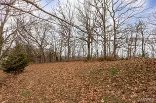 3602 Bouquet Rd, Wildwood, MO 63069 - Photo 5