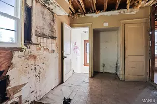 3742 California Ave, Saint Louis, MO 63118 - Photo 17