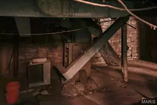 3742 California Ave, Saint Louis, MO 63118 - Photo 21