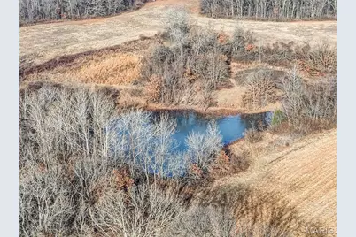 285 Graves, Foley, MO 63347 - Photo 31