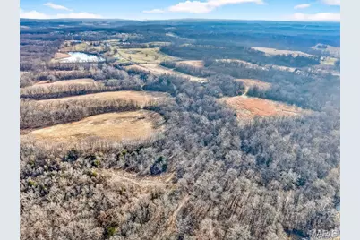 285 Graves, Foley, MO 63347 - Photo 7